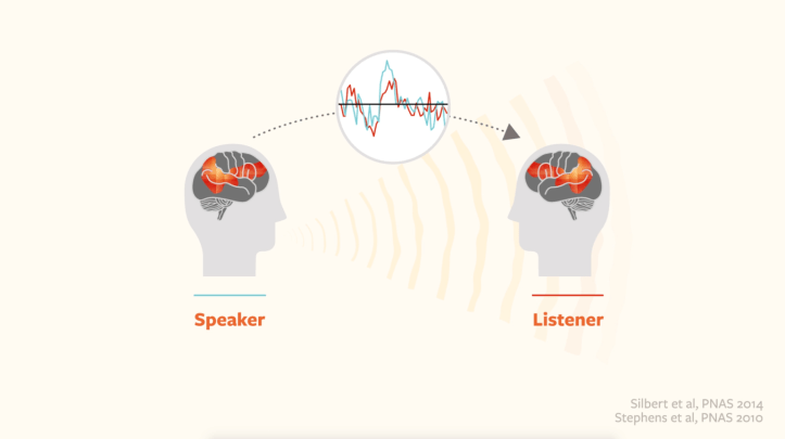 speaker-listener-brains-in-sync